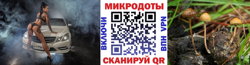 Псилоцибиновые грибы Magic Shrooms  купить наркотики сайты  Туринск 